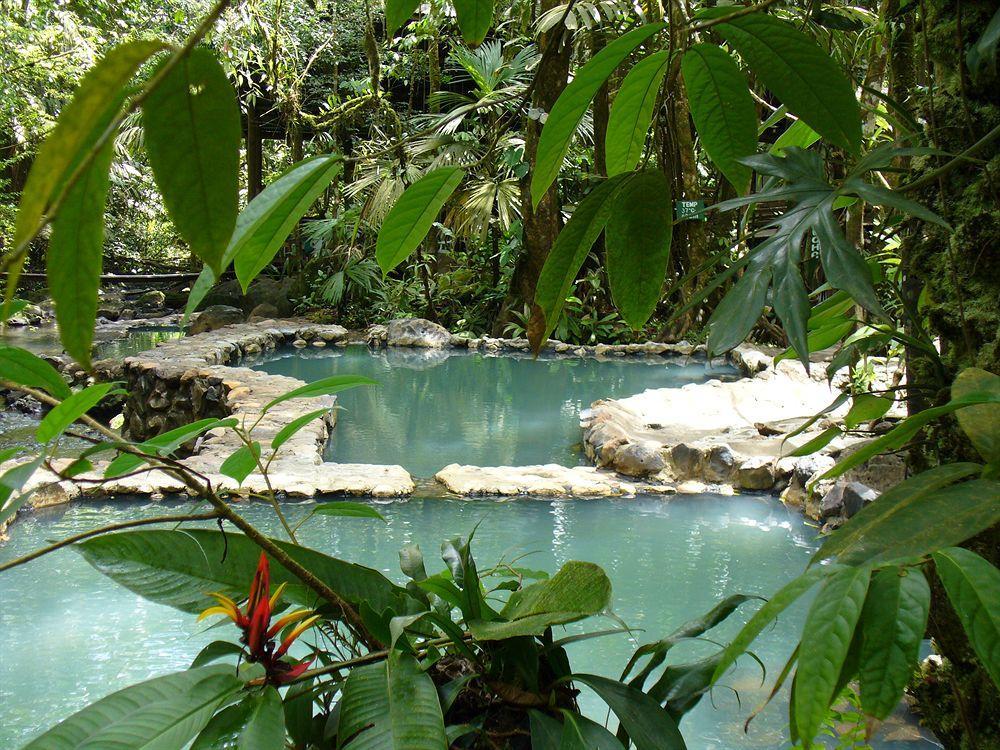 Termales Del Bosque & Hot Springs Hotel La Marina Exterior photo