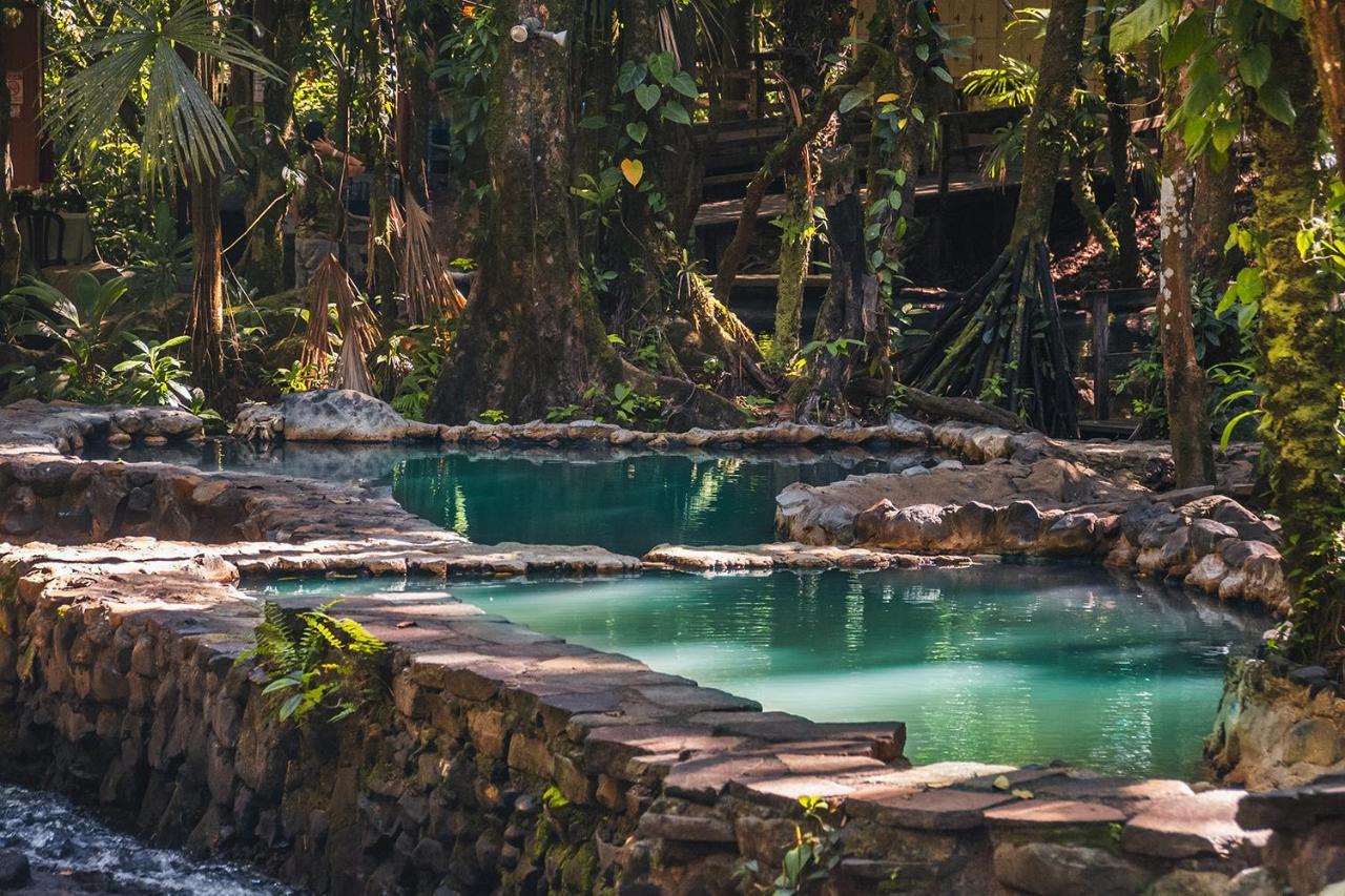 Termales Del Bosque & Hot Springs Hotel La Marina Exterior photo