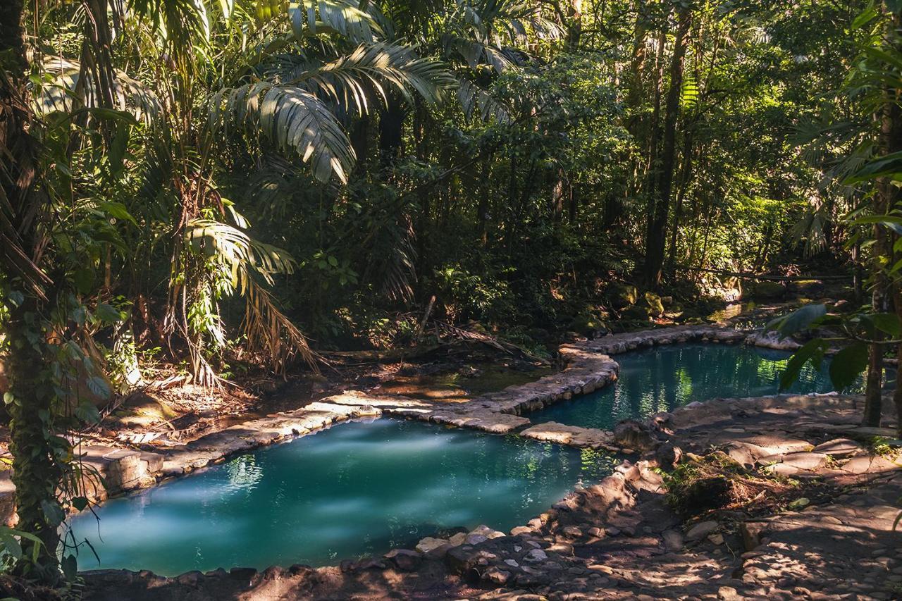 Termales Del Bosque & Hot Springs Hotel La Marina Exterior photo